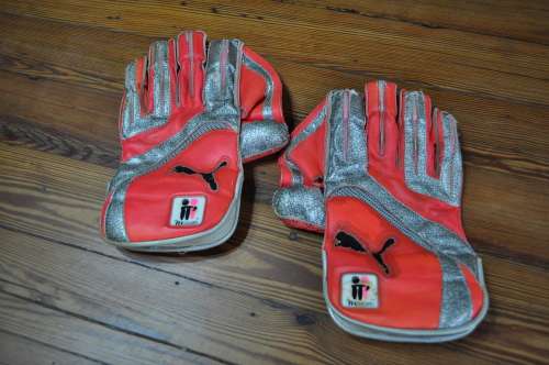 Puma Mens Wicket Keeper Gloves