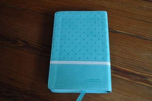 Faithgirlz Backpack Bible