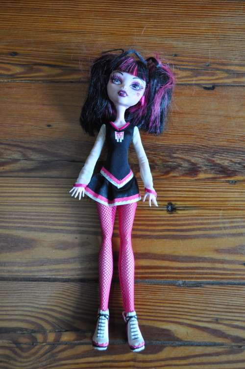 Monster high fearleading dolls new arrivals