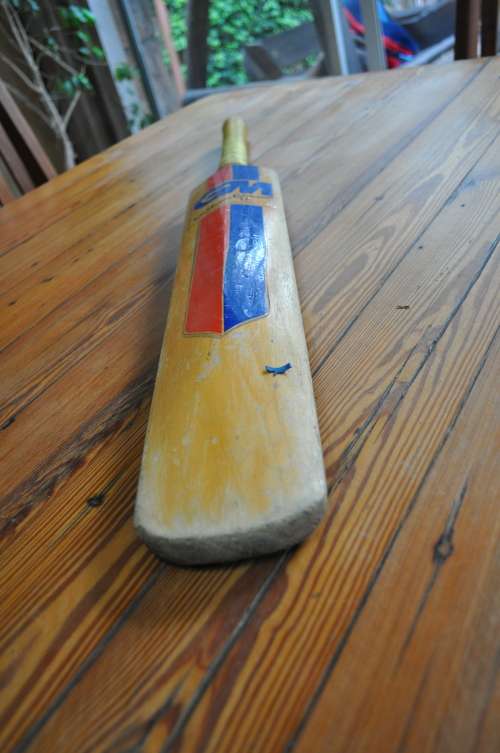 Gunn and Moore Score Master Old School Cricket Bat