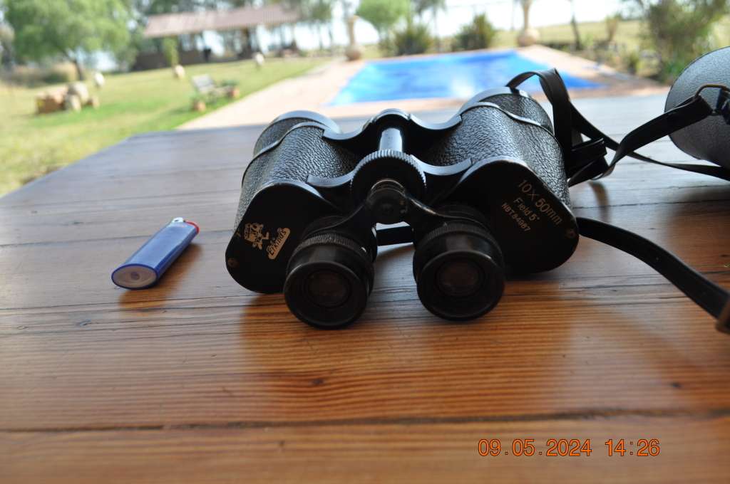 Vintage Binoculars 10 x 50 In Leather Carry Case