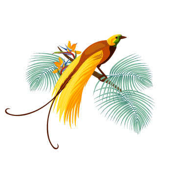 Gourmet Vanilla Beans Grade A - Organic 15-18cm