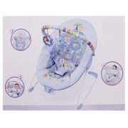 Baby Soothing Vibrations Bouncer