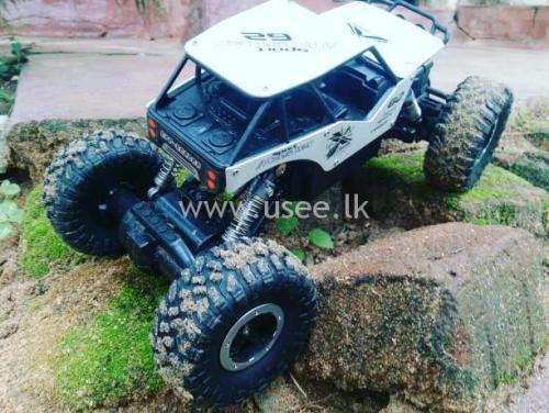 MONSTER DX STORM CRAWLER 1:18 IN SIZE 2.4GHZ 4 WD RALLY TRUCK