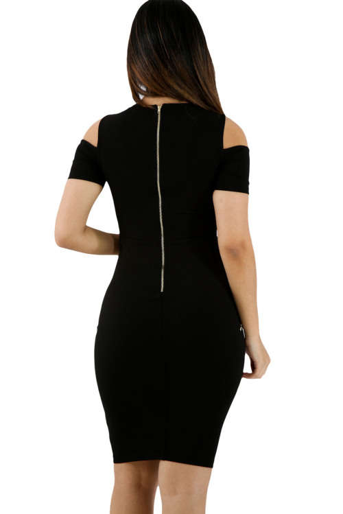 First Bidder wins!!!Mesh Combine Embroidered Rose Cold Shoulder Bodycon Dress