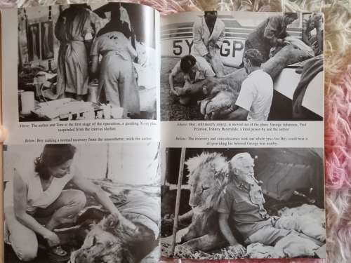 Dr Sue - A Vet in Africa ** Signed **