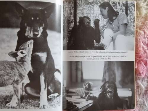 Dr Sue - A Vet in Africa ** Signed **