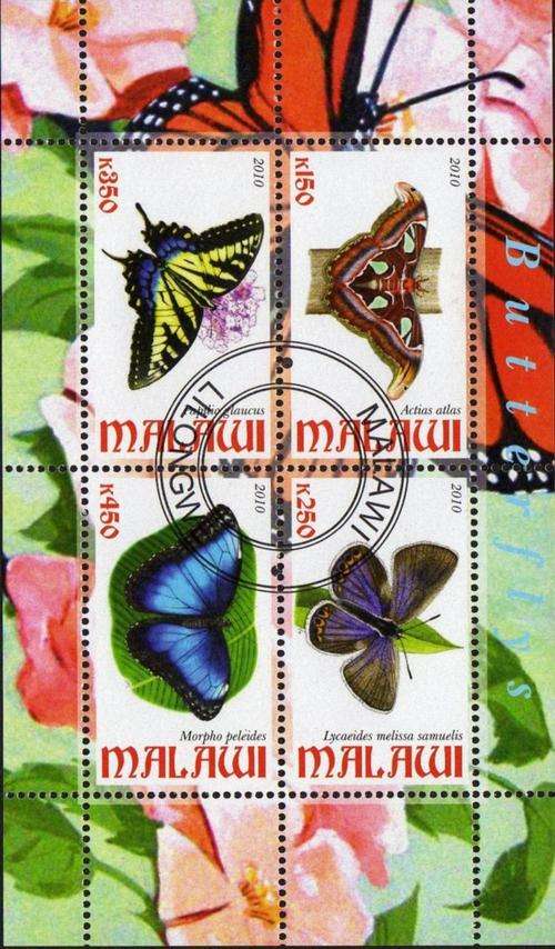 MALAWI - BUTTERFLIES