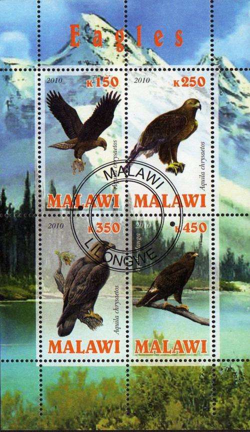 MALAWI - EAGLES