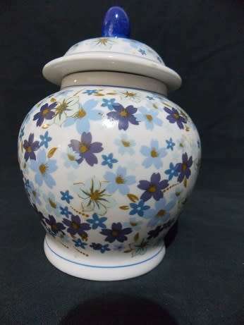 Modern Porcelain Ginger Jar