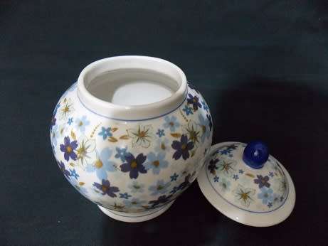 Modern Porcelain Ginger Jar