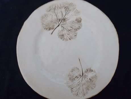 Beautiful Pottery Plate made by Shauna