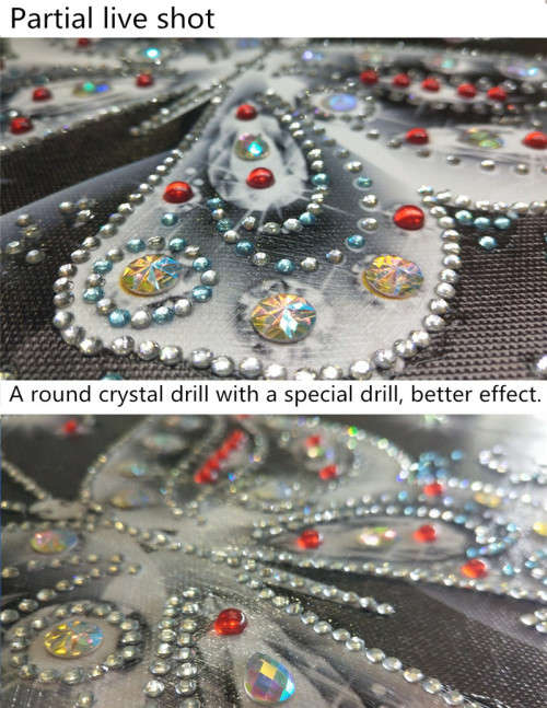 5D Diamond paint by numbers - Butterfly