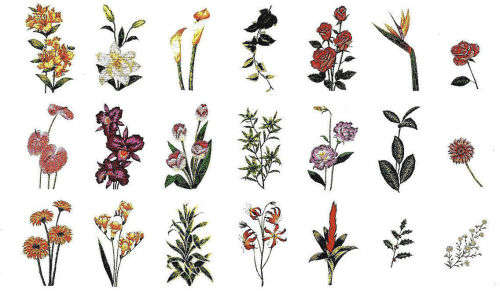 FLORALS #31  Embroidery Memory Card for Brother, Ber. Deco, Baby Lock .pes