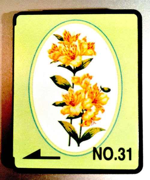 FLORALS #31  Embroidery Memory Card for Brother, Ber. Deco, Baby Lock .pes