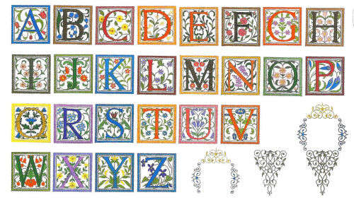RENAISSANCE ALPHABET #41  Embroidery Memory Card for Brother, Ber. Deco, Baby Lock .pes