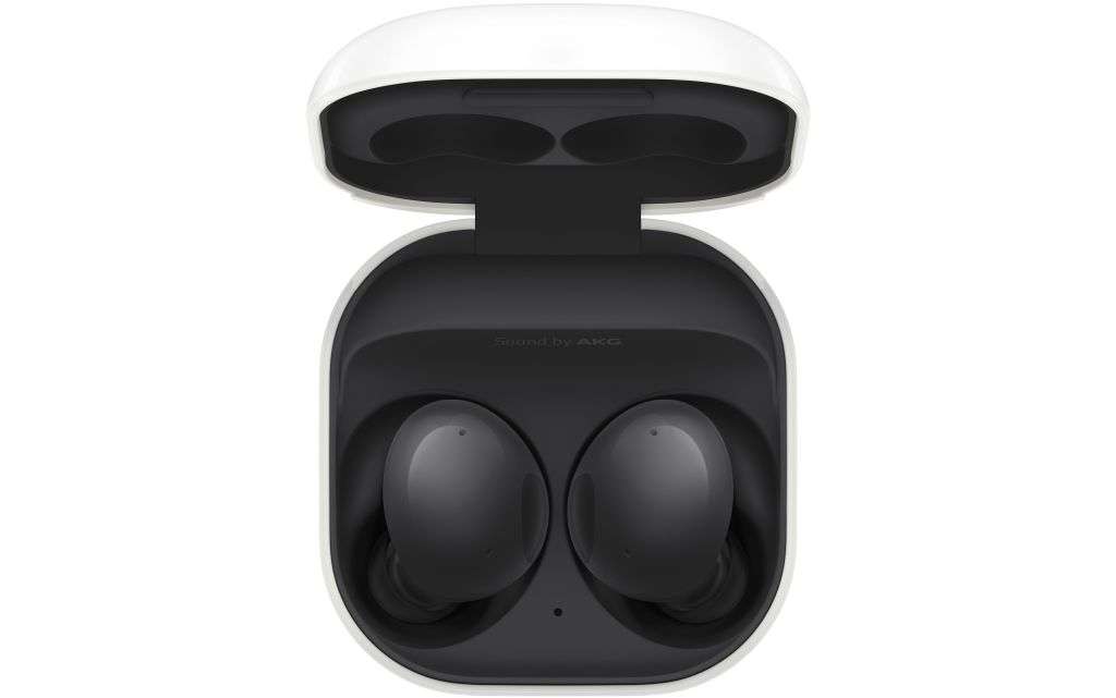 Samsung Galaxy Buds 2  Graphite