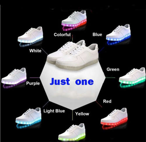 LED LIGHT SHOE/TEKKIE