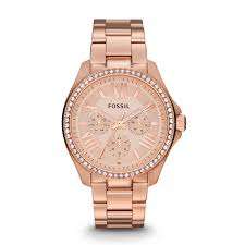 Fossil Cecile Multifunction Women's Rose Gold Stainless Steel Watch AM4483