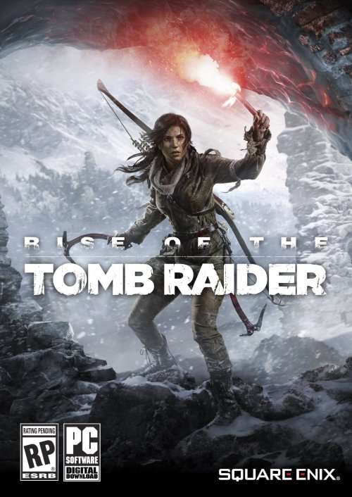 Rise of the Tomb Raider ( PC - DVD Disk)