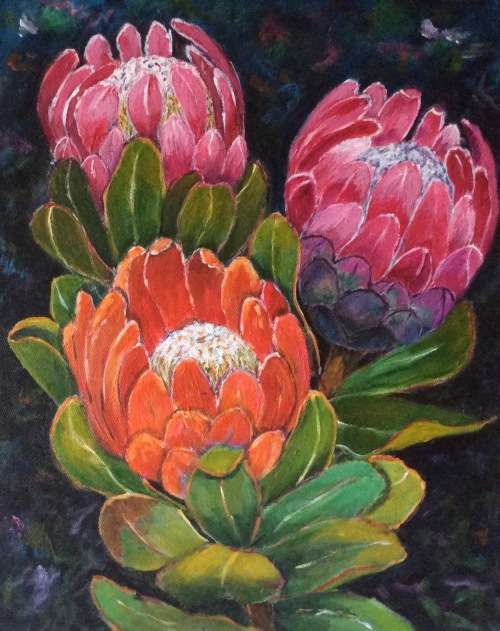 Three Proteas