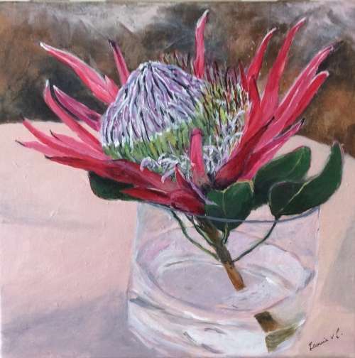 Protea in Glas