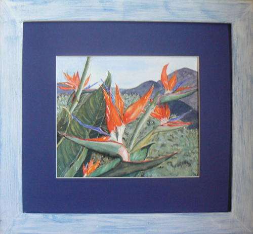 STRELIZIA in the Overberg,original watercolour,  Leonie van Loggerenberg, flowers, still life.