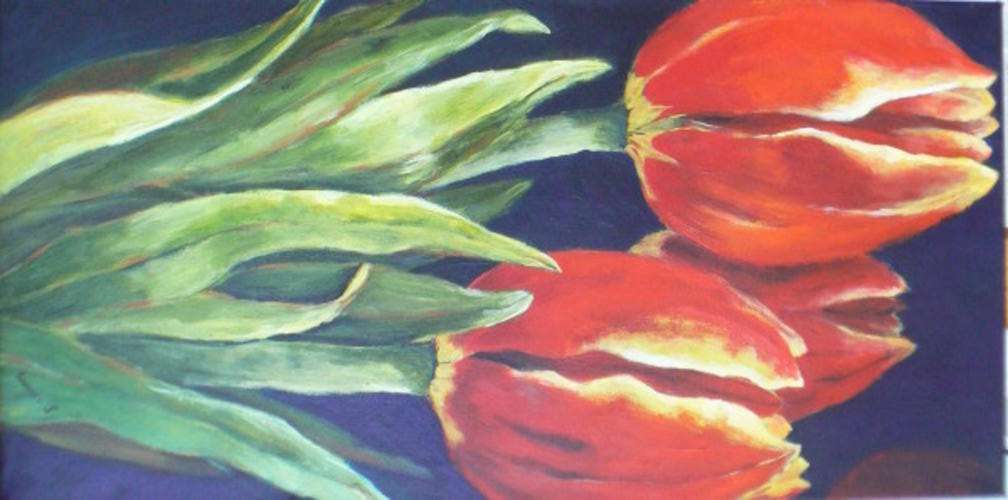 Tulpen aus Amsterdamm, tulips, flowers, spring, Leonie van Loggerenberg