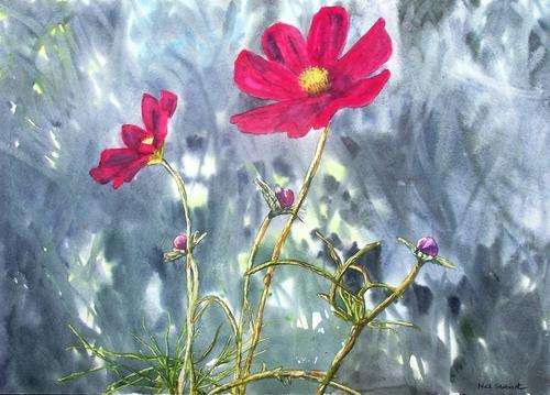 BEAUTIFUL **COSMOS** BY NIC STOBART -  57 x 39CM