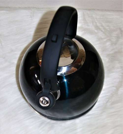 Berlinger Haus 3L Stainless Steel Whistling Kettle - AQUAMARINE