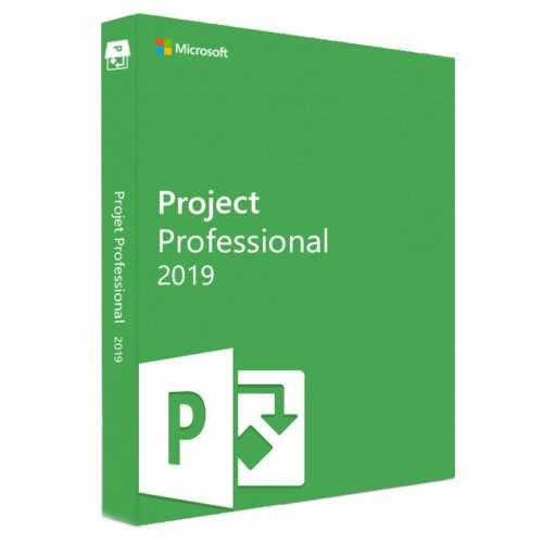 PROJECTs PROFESSIONAL 2019