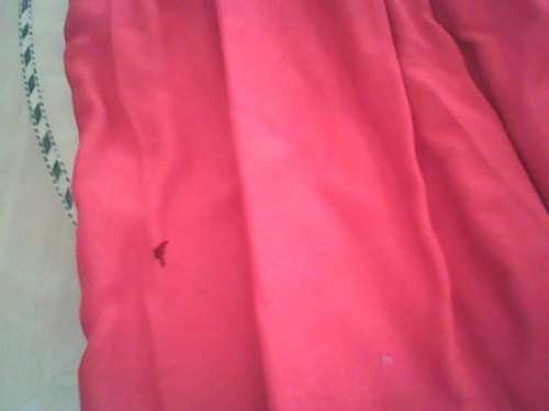 Embroided Fabulous Red Skirt with Elasticated Waist