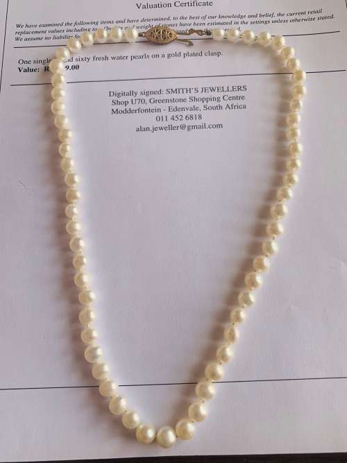 Absolutely Beautiful Vintage Single Strand of Sixty Fresh Water Pearls Neckpiece!! Valued @ R2499.00
