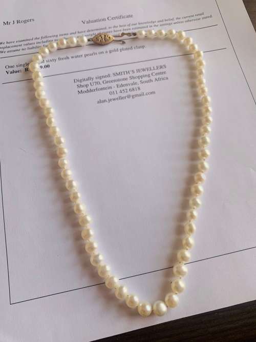 Absolutely Beautiful Vintage Single Strand of Sixty Fresh Water Pearls Neckpiece!! Valued @ R2499.00