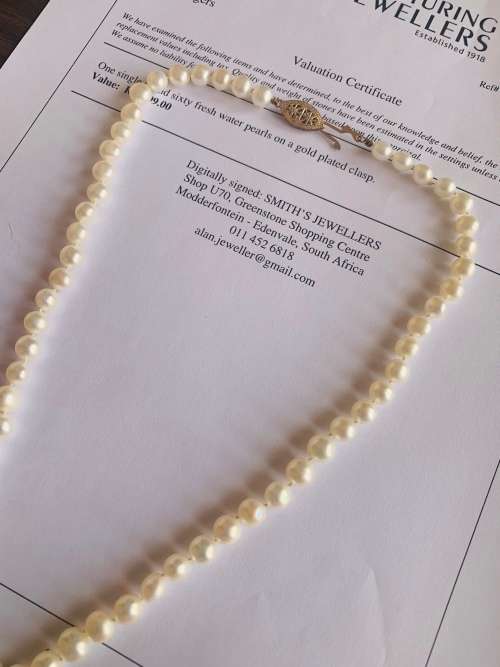 Absolutely Beautiful Vintage Single Strand of Sixty Fresh Water Pearls Neckpiece!! Valued @ R2499.00