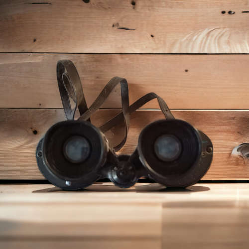Collectors binoculars with leather carry case