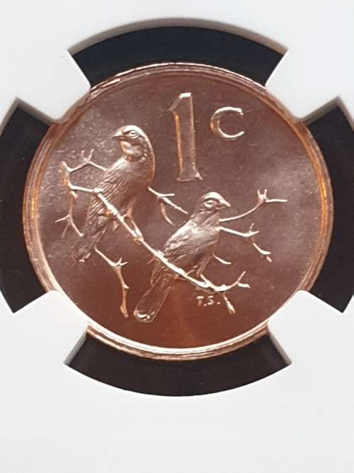 1965 SOUTH AFRICA PROOF 1c -ENGLISH- NGC GRADED PF67RD **SCARCE GRADE WITH ONLY 2 HIGHER IN RD
