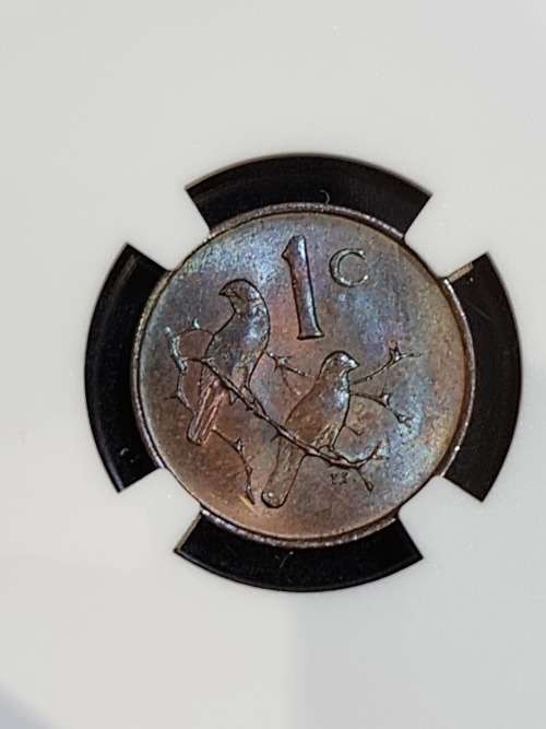 1965 SOUTH AFRICA ONE CENT - ENGLISH UNCIRCULATED- NGC GRADED MS64  BROWN. **CV IN UNGRADED R2000**