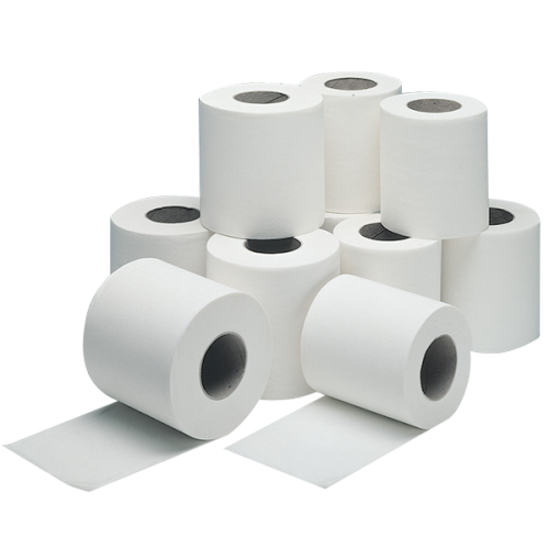 Healthwatch - Wholesale Soft 2 PLY Toilet Paper (Packs of 24 Rolls)