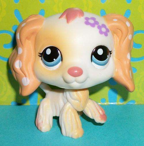 Other Collectable Toys Littlest Pet Shop Cocker Spaniel 1615 was sold for 30.00 on 10 May at 10 31 by Sigrids Shop in Johannesburg ID 63630122