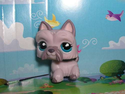 Last One - Littlest pet shop, Scottie #1201