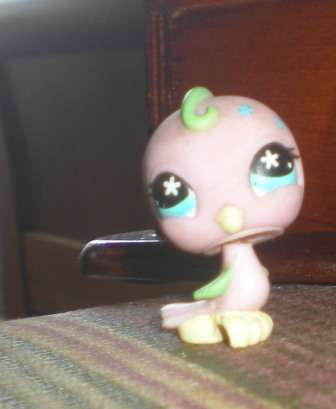 Littlest pet shop, Bird - Parakeet / cockatoo Bird with Blue Stars #620