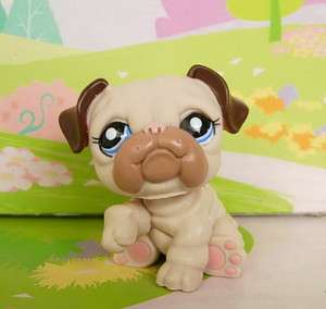 Littlest Pet Shop, Dog,  Bulldog 1765  only one