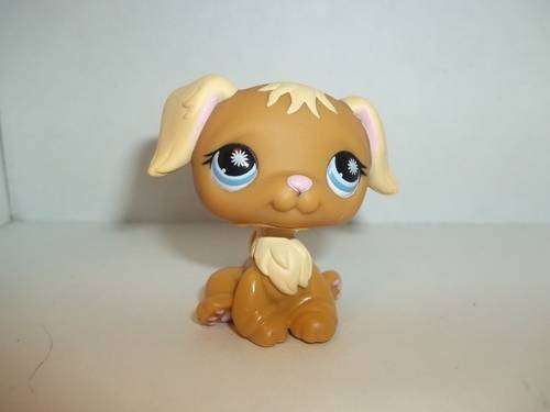 Last One - Littlest Pet Shop, Dog, Retriever 951