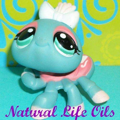 Littlest pet shop,  Spider Teal and Pink #1760