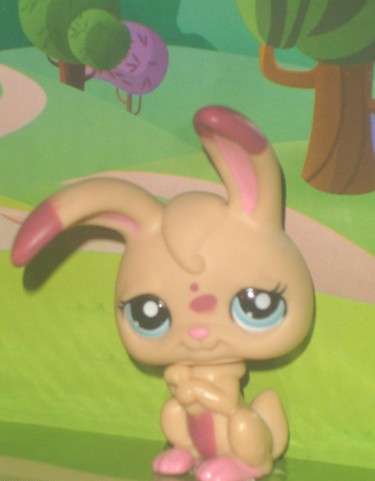 Last One - Rare, Littlest Pet Shop, Bunny / Rabbit 1722