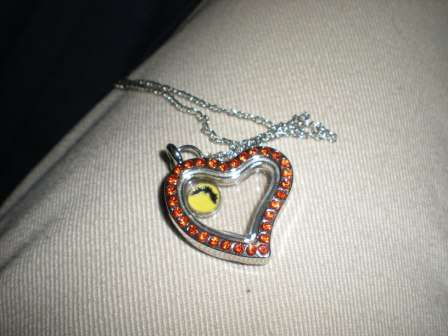 Living Memory Floating Charm Locket Heart with Red Crystals in Silver - FREE Crystals