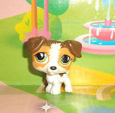 Last One - Littlest pet shop,Dog - Jack Russel 804