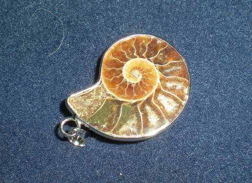 Ammonite Pendant