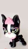 Last One!! Littlest Pet Shop, Black Boxer with Crown